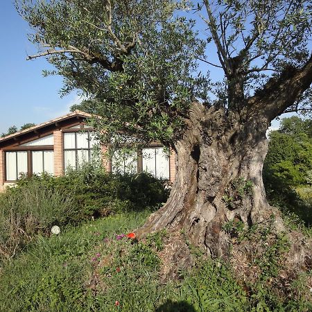 Chalet Domaine De Combe Ramond Hotel Veilhes Luaran gambar