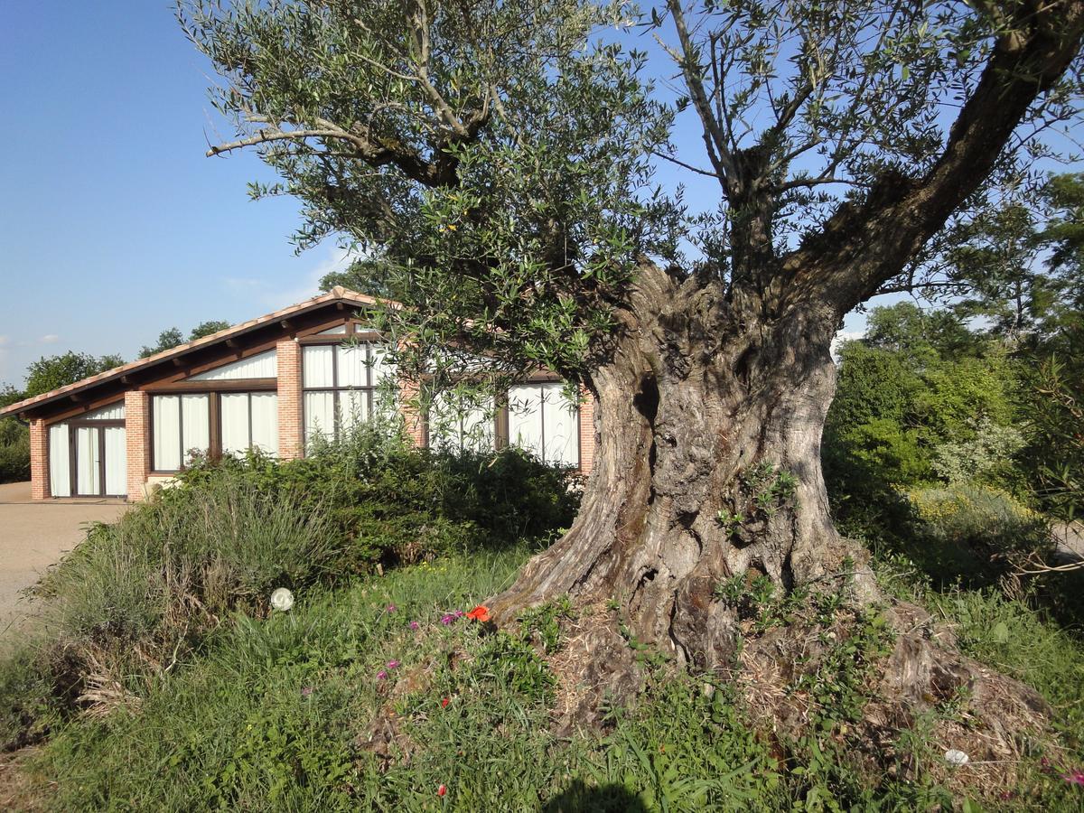 Chalet Domaine De Combe Ramond Hotel Veilhes Luaran gambar
